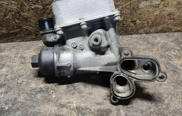 Renault Koleos I Oil filter mounting bracket 8200797762