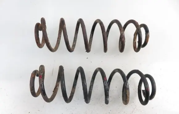 Skoda Roomster (5J) Rear coil spring