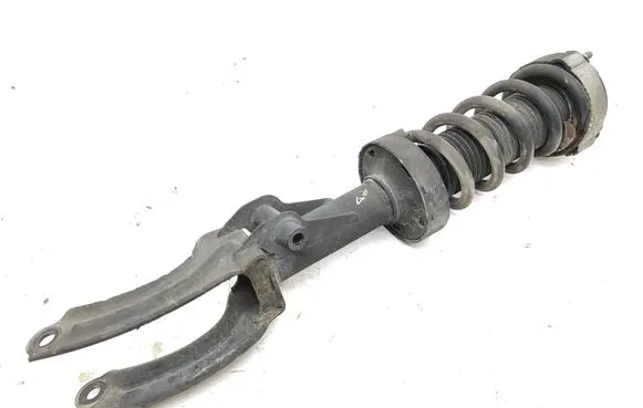 Porsche Cayenne (92A) Front shock absorber with coil spring