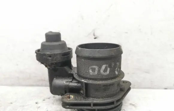 Peugeot 307 Throttle body valve 