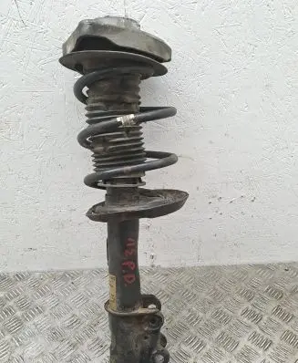 Front shock absorber with coil spring