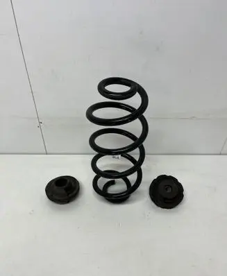 Rear coil spring