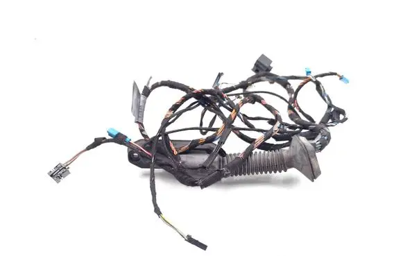 BMW X5 E70 Front door wiring loom 9116976