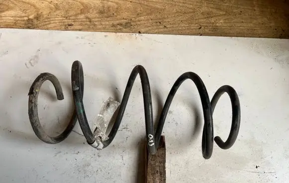 Fiat 500 Front coil spring 00518570100