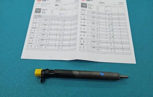 Citroen C5 Fuel injector EMBR00101D IMPRK1486157