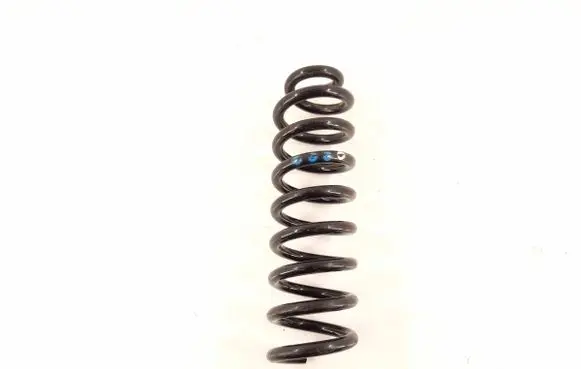 Rear coil spring