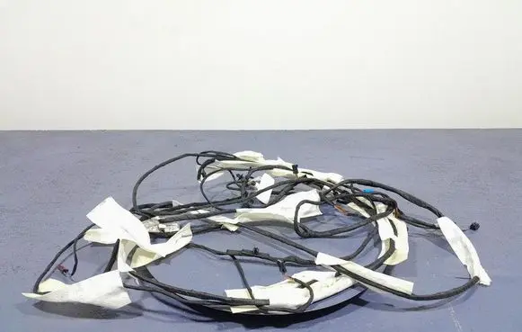 BMW X7 G07 Other wiring loom 8736320