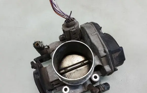 Volkswagen New Beetle Throttle valve 06A133066E