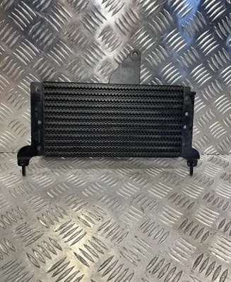 Citroen DS3 Fuel cooler (radiator) 964769408A