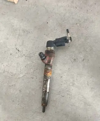 Nissan Qashqai Fuel injector H8200704191