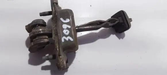 Ford Focus Rear door check strap stopper