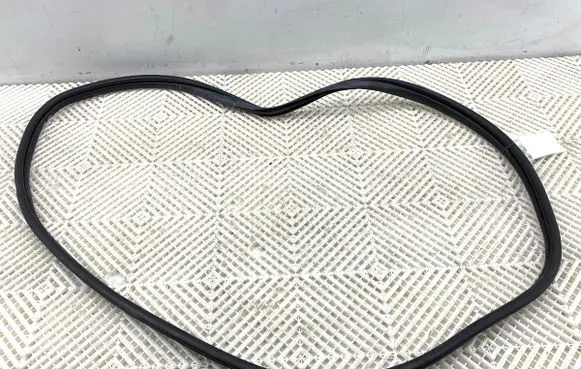 KIA Niro Rubber seal front door (on door)
