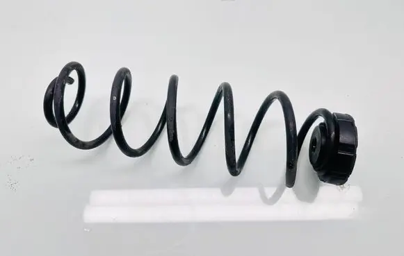 Rear coil spring