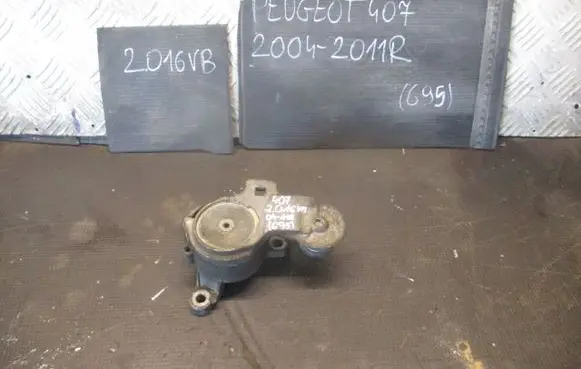 Peugeot 407 Timing belt tensioner 