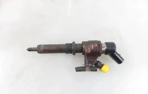 Peugeot Partner Fuel injector 9652173780