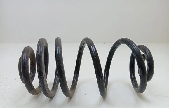 Rear coil spring