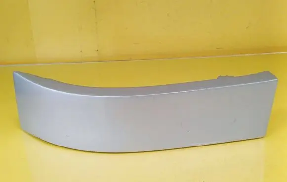 Rear/tail light trim molding