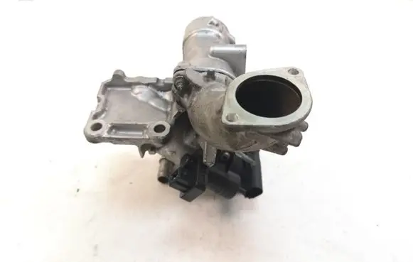 Nissan Juke I F15 EGR valve 8200836385 8200845454D