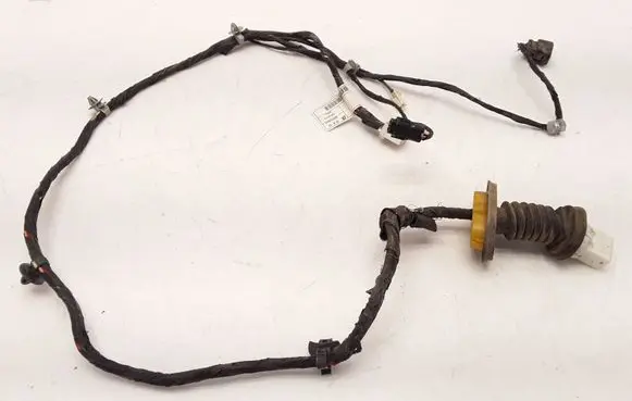 Rear door wiring loom