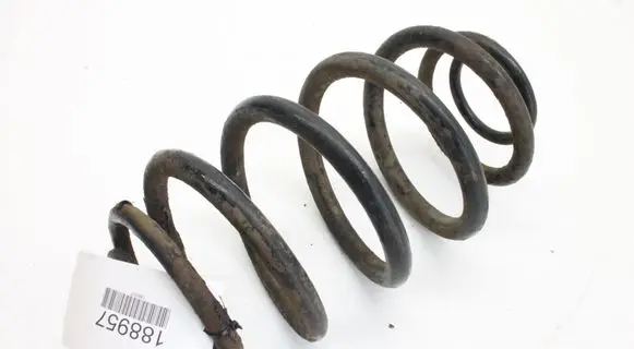 Renault Trafic III (X82) Rear coil spring