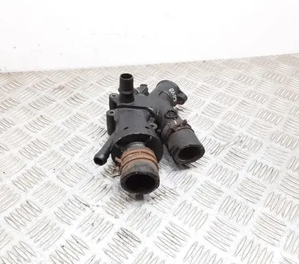 Thermostat/thermostat housing