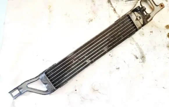 Mercedes-Benz B W245 Engine oil radiator a1695000200
