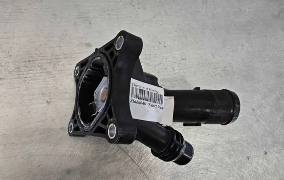 Thermostat/thermostat housing