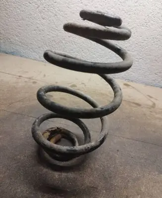Volkswagen PASSAT B5.5 Rear coil spring