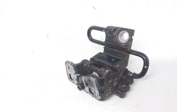 Volkswagen Golf V Front door lower hinge 1K0831411M