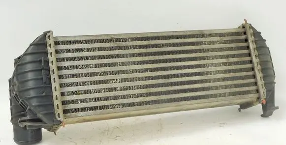 Renault Kangoo II Intercooler radiator 8200427469 193680