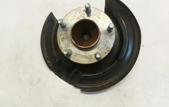 Renault Arkana Stub axle 432024662