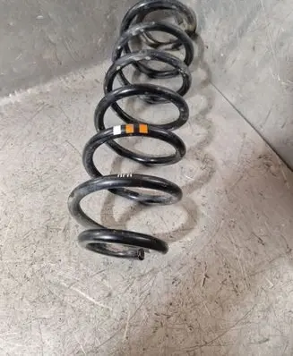 Rear coil spring
