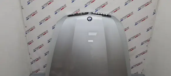 BMW X5 E70 Engine bonnet/hood 41617486754