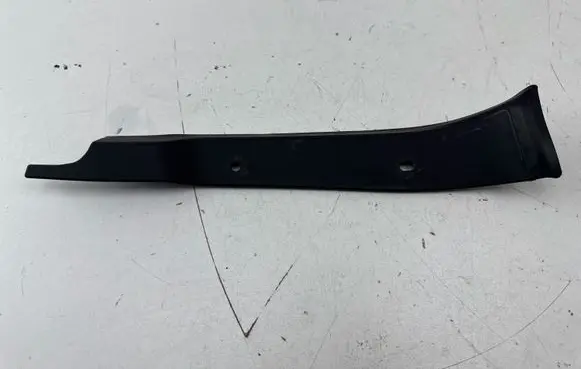 Rear/tail light trim molding