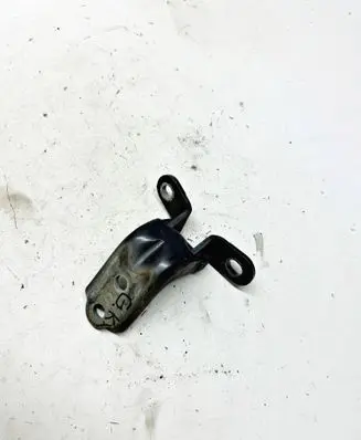 KIA Sportage Rear door lower hinge