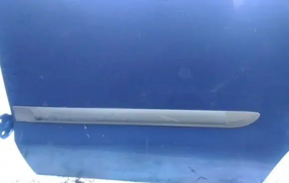 Mazda Premacy Rear door trim (molding)