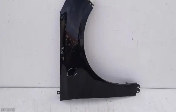 Ford Focus Fender