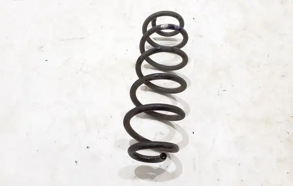 Rear coil spring