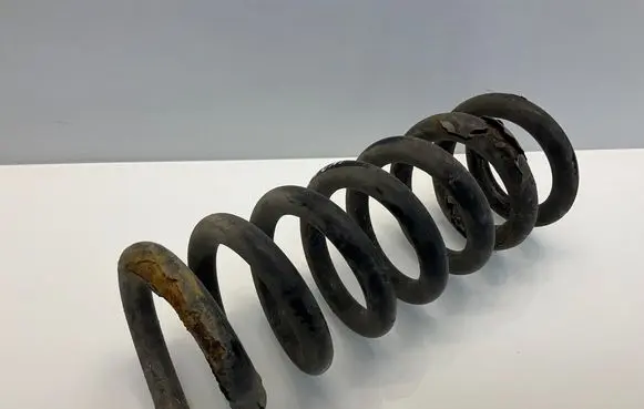 Rear coil spring