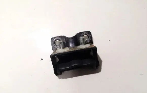 Tailgate/trunk/boot hinge