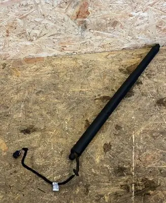 Tailgate/trunk strut/damper