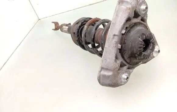 Front shock absorber with coil spring