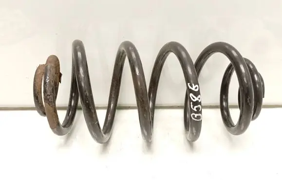 Rear coil spring