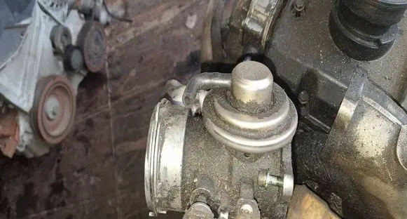 Seat Alhambra (Mk1) EGR valve 038131501AA