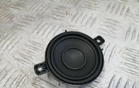 Tesla Model 3 Panel speaker 111889400B 434107869932 PM20199W813E9