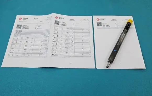 Citroen C3 Fuel injector EJBR01001A IMPRK1428397