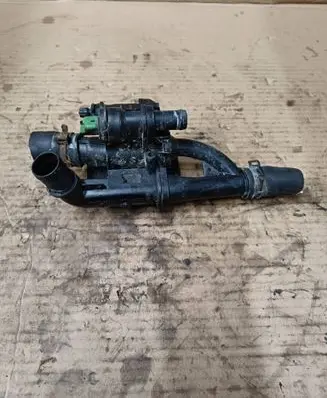 Thermostat/thermostat housing