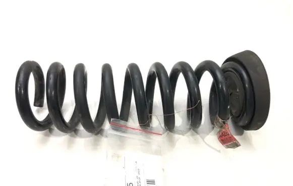 Rear coil spring