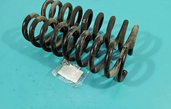 Rear coil spring