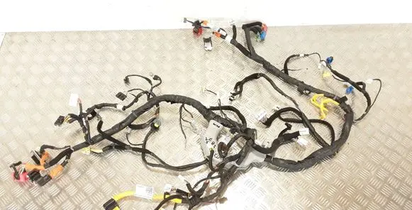 Hyundai Santa Fe Other wiring loom